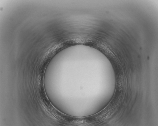X0000061100639200512091753
