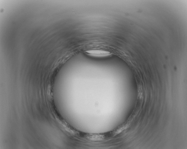 X0000061100670200512091753