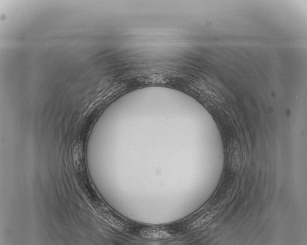 X0000061100747200512091751