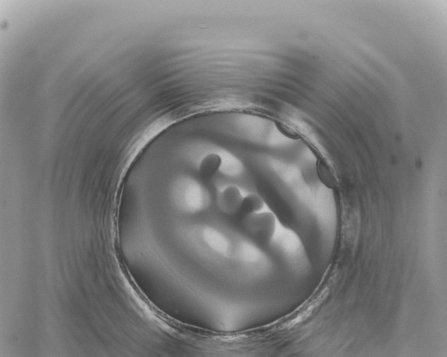X0000061100810200512091750