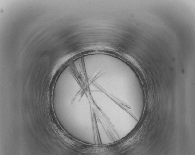 X0000061100831200512091749