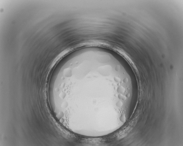 X0000061100853200512091750
