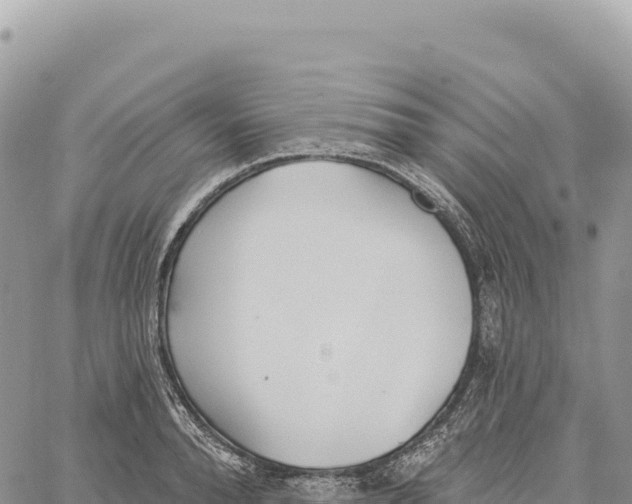 X0000061100896200512091749