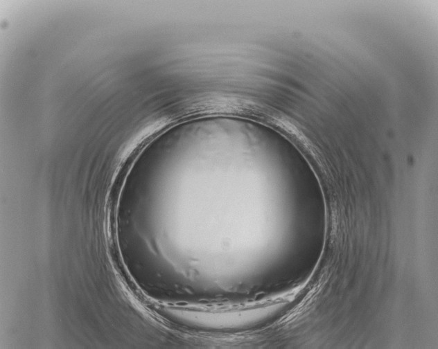 X0000061101034200512091746