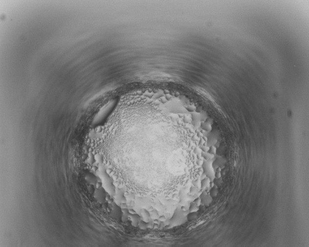 X0000061101063200512091746