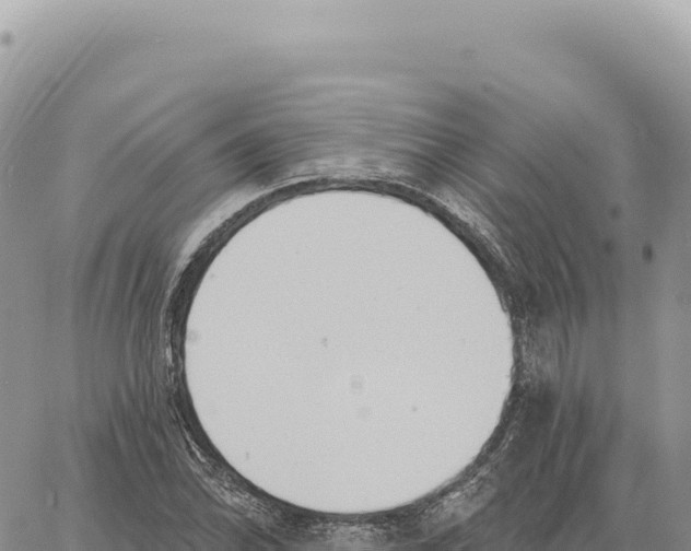 X0000061101070200512091746