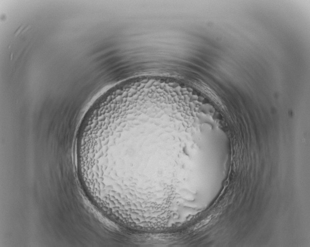X0000061101084200512091746