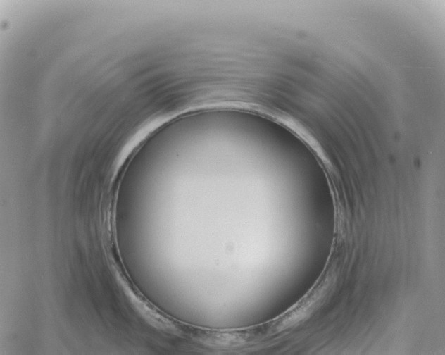 X0000061101101200512091745