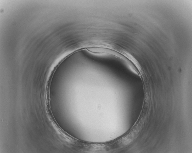 X0000061101144200512091745