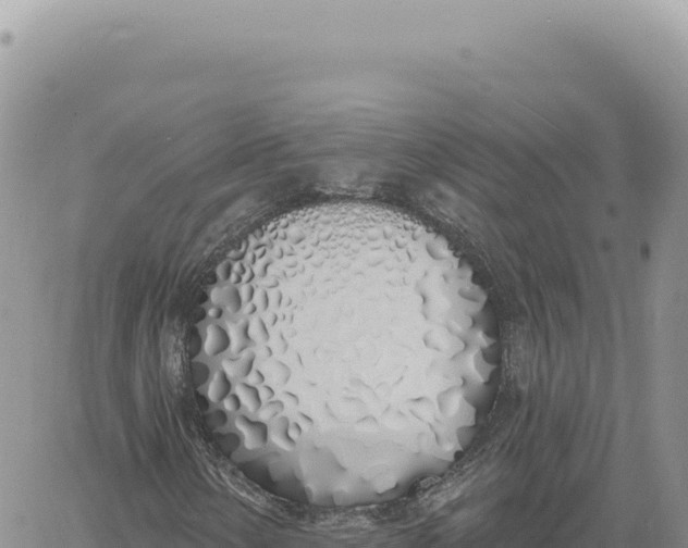 X0000061101154200512091744