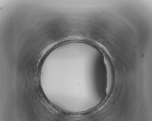 X0000061101168200512091744