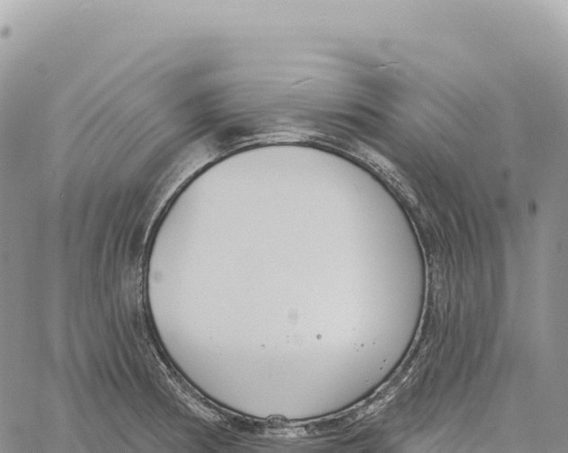X0000061101186200512091744
