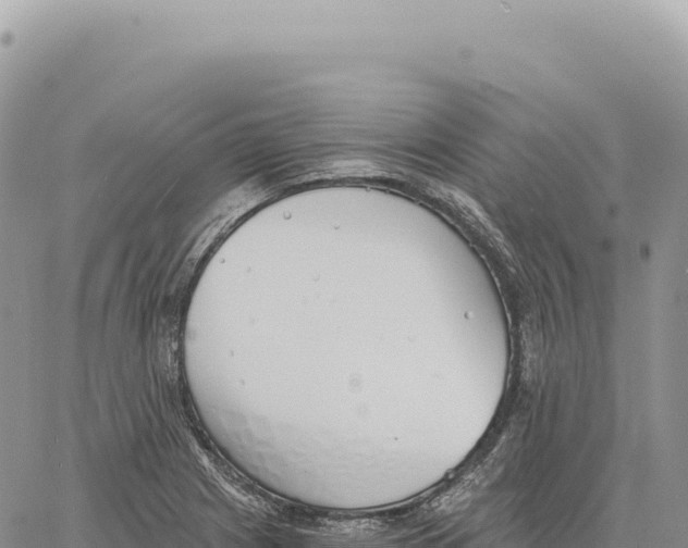 X0000061101225200512091743