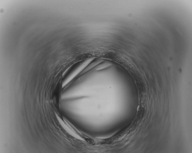 X0000061101298200512091741
