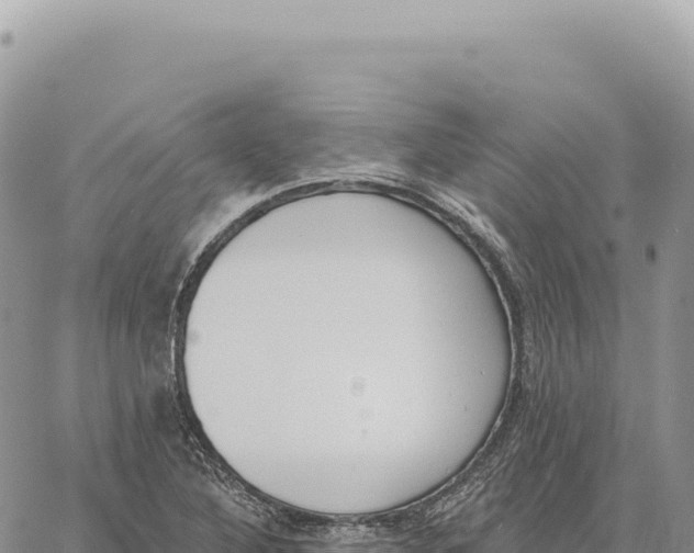 X0000061101316200512091742