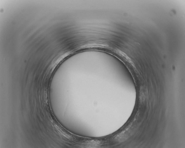 X0000061101321200512091742
