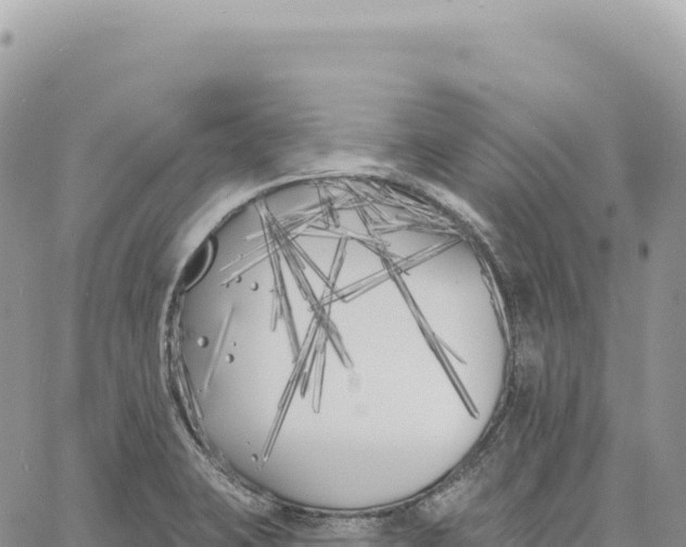 X0000061101423200512091740