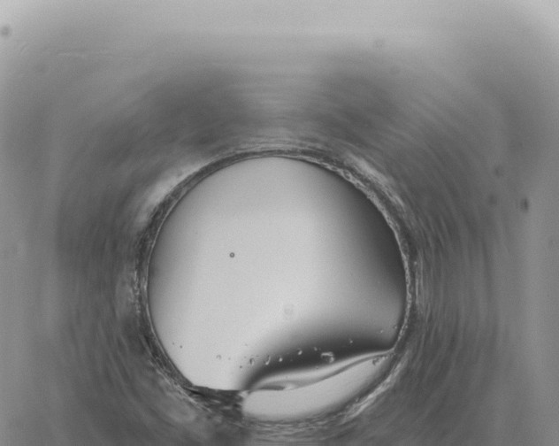 X0000061101453200512091740