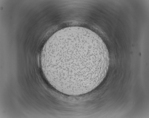 X0000061100022200512161359