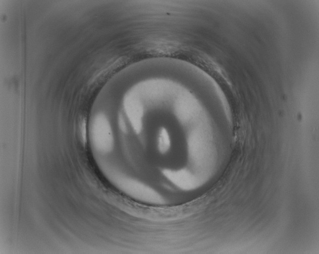 X0000061100027200512161359