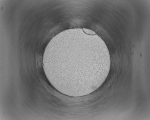 X0000061100038200512161359