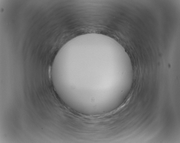 X0000061100041200512161359