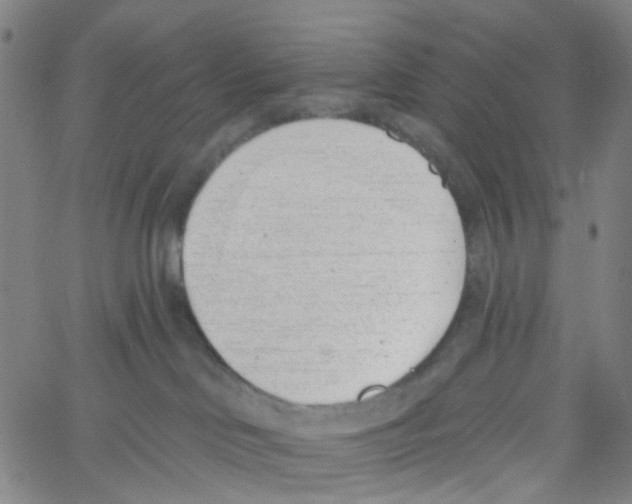 X0000061100046200512161359