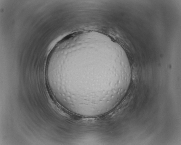 X0000061100052200512161358