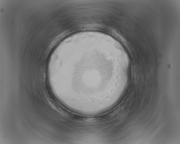 X0000061100059200512161358