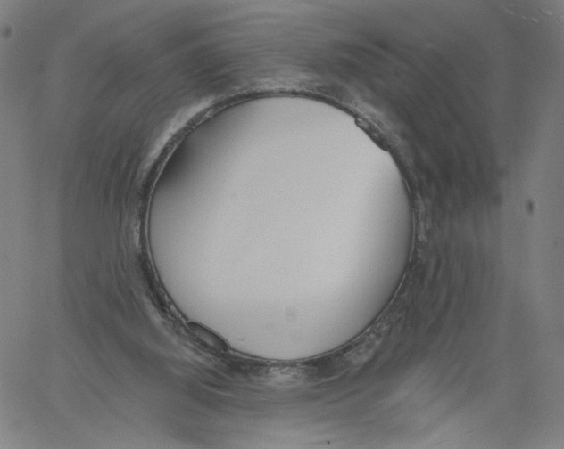 X0000061100060200512161358