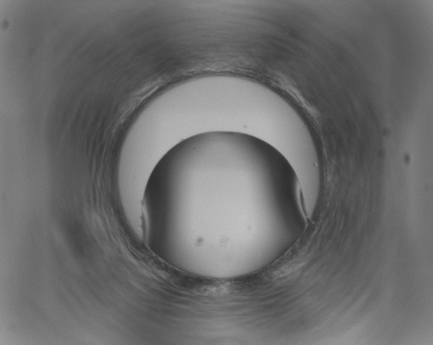 X0000061100068200512161359