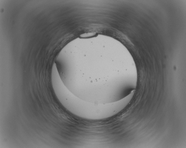 X0000061100073200512161359
