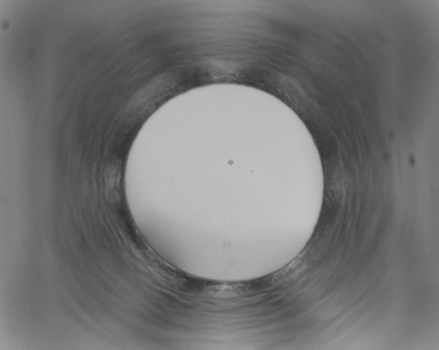 X0000061100082200512161359