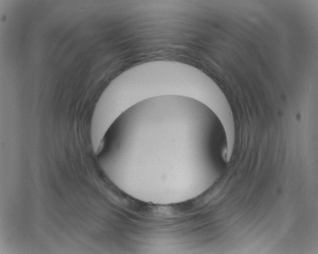 X0000061100091200512161359