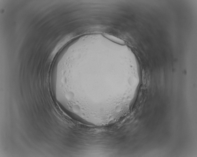 X0000061100099200512161358