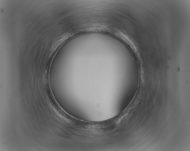 X0000061100105200512161358