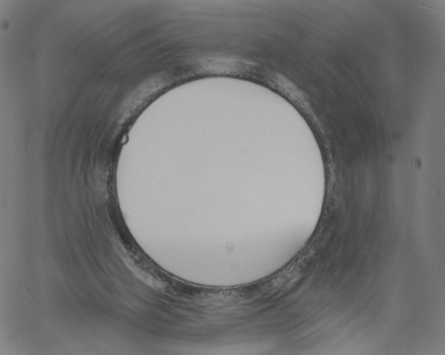X0000061100106200512161358