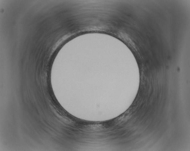 X0000061100108200512161358