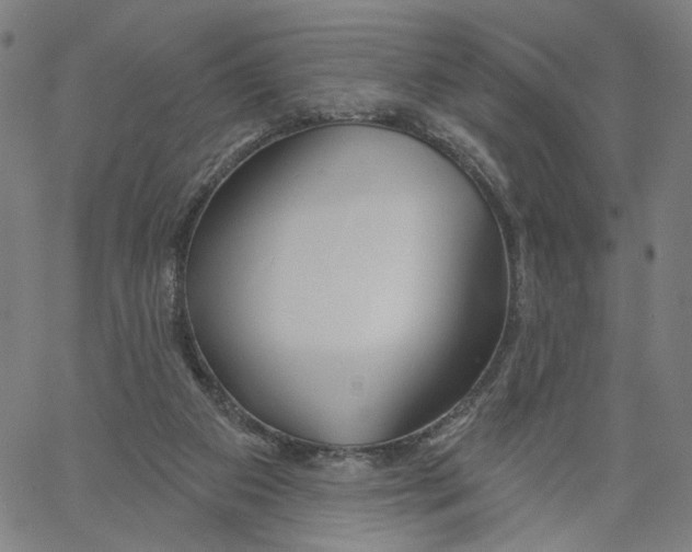 X0000061100113200512161358