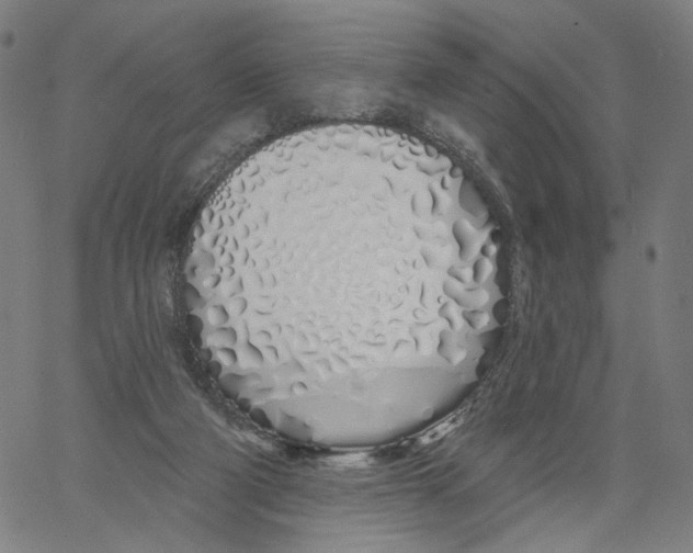 X0000061100114200512161358