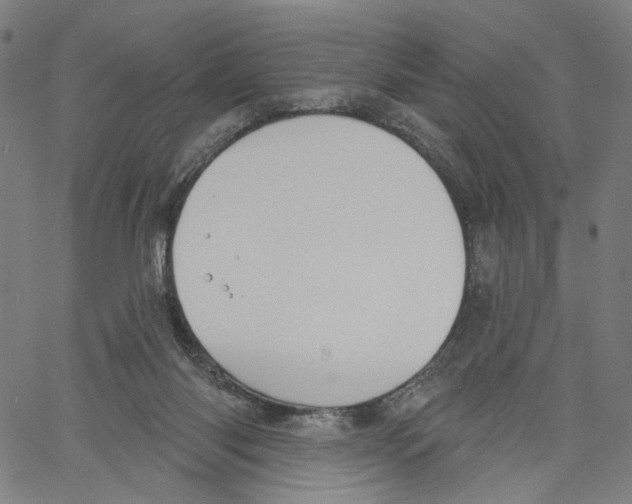 X0000061100118200512161358