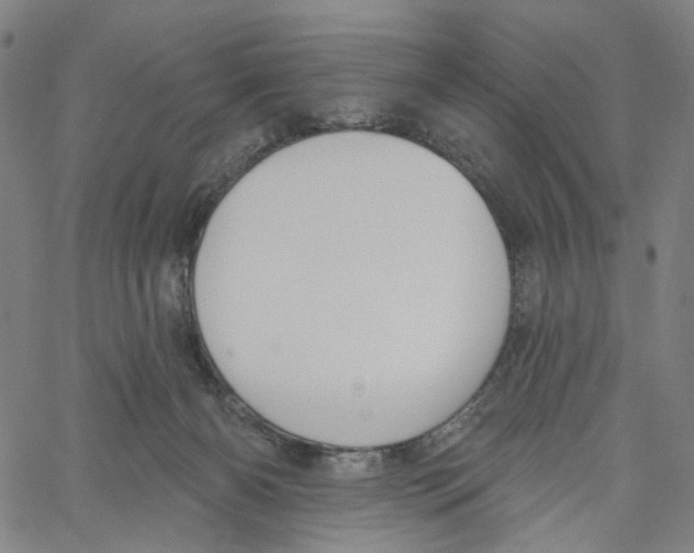 X0000061100126200512161358