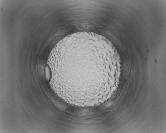 X0000061100130200512161358