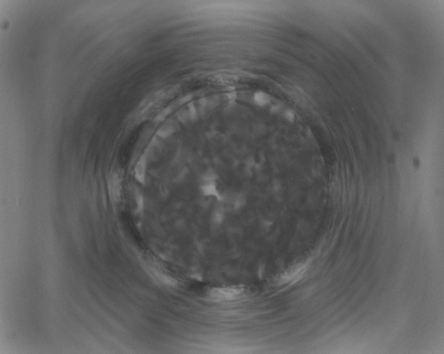 X0000061100139200512161357