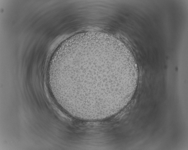 X0000061100145200512161357