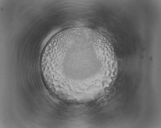 X0000061100147200512161357
