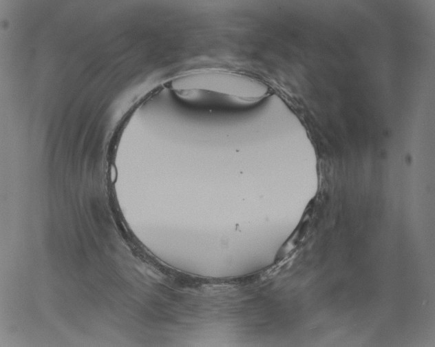 X0000061100150200512161357