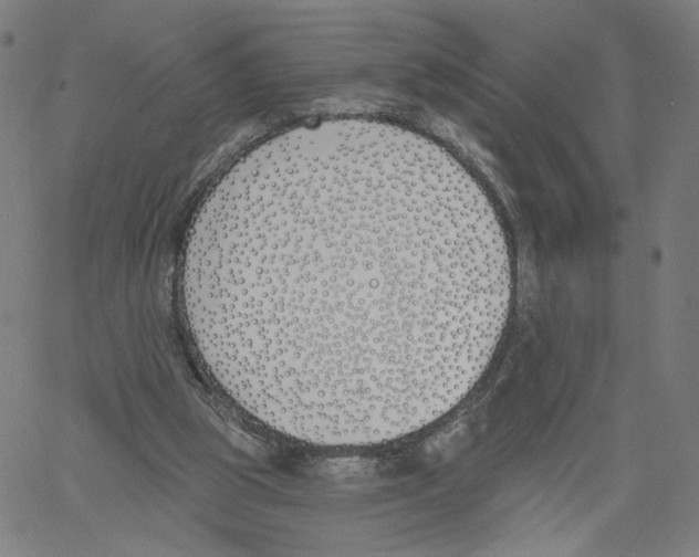 X0000061100153200512161357