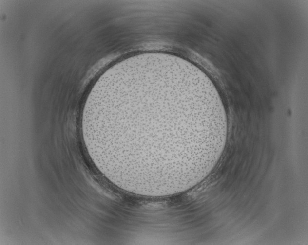 X0000061100155200512161357