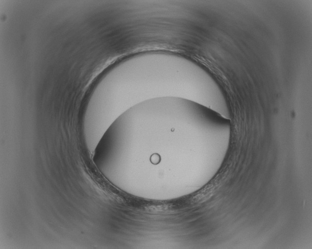 X0000061100160200512161357